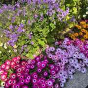 ヒメ日記 2025/10/10 22:42 投稿 あゆな 熟女家 堺東店