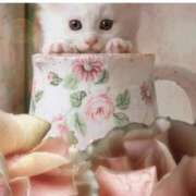 ヒメ日記 2025/10/13 09:03 投稿 あゆな 熟女家 堺東店