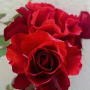 ヒメ日記 2025/10/22 21:47 投稿 あゆな 熟女家 堺東店