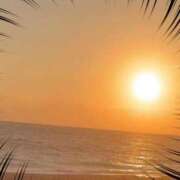 ヒメ日記 2025/11/22 22:22 投稿 あゆな 熟女家 堺東店