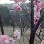 ヒメ日記 2026/03/17 08:27 投稿 あゆな 熟女家 堺東店