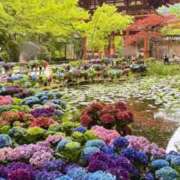 ヒメ日記 2026/06/16 19:32 投稿 小町-こまち- 人妻倶楽部 花椿北上店