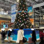 ヒメ日記 2025/11/18 23:57 投稿 猪狩ねる Finemotion