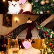 ヒメ日記 2025/12/14 15:53 投稿 猪狩ねる Finemotion