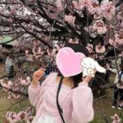 ヒメ日記 2026/03/08 08:45 投稿 猪狩ねる Finemotion