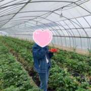 ヒメ日記 2026/03/14 21:29 投稿 猪狩ねる Finemotion