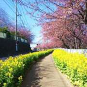 ヒメ日記 2026/02/23 14:25 投稿 みく 人妻倶楽部内緒の関係 春日部店