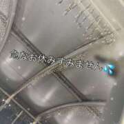 ヒメ日記 2025/11/16 11:51 投稿 いつき 人妻洗体倶楽部