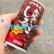 ヒメ日記 2025/11/19 15:12 投稿 いつき 人妻洗体倶楽部