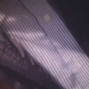 ヒメ日記 2026/03/08 18:18 投稿 れな Smart(スマート)