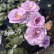 ヒメ日記 2025/12/31 22:46 投稿 マナ マテリアル