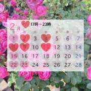 ヒメ日記 2026/02/01 21:16 投稿 マナ マテリアル