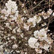 ヒメ日記 2026/03/30 20:31 投稿 マナ マテリアル