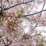 ヒメ日記 2026/04/06 21:01 投稿 マナ マテリアル