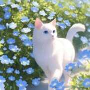 ヒメ日記 2025/11/03 19:19 投稿 祖父江 鶯谷デッドボール