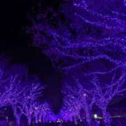 ヒメ日記 2025/12/30 19:29 投稿 祖父江 鶯谷デッドボール