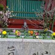 ヒメ日記 2026/02/16 10:29 投稿 祖父江 鶯谷デッドボール