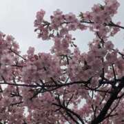 ヒメ日記 2026/02/17 15:09 投稿 祖父江 鶯谷デッドボール