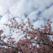 ヒメ日記 2026/03/07 21:39 投稿 祖父江 鶯谷デッドボール