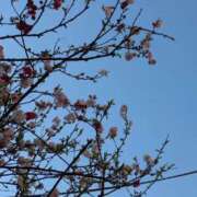 ヒメ日記 2026/03/21 09:05 投稿 祖父江 鶯谷デッドボール
