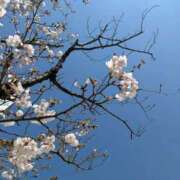 ヒメ日記 2026/03/24 18:31 投稿 祖父江 鶯谷デッドボール