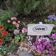 ヒメ日記 2026/04/01 03:29 投稿 祖父江 鶯谷デッドボール