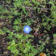 ヒメ日記 2026/04/03 14:09 投稿 祖父江 鶯谷デッドボール