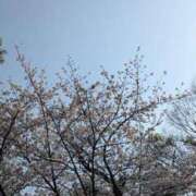 ヒメ日記 2026/04/03 22:49 投稿 祖父江 鶯谷デッドボール