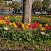 ヒメ日記 2026/04/04 09:19 投稿 祖父江 鶯谷デッドボール