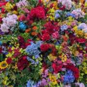 ヒメ日記 2026/04/05 08:10 投稿 祖父江 鶯谷デッドボール