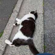 ヒメ日記 2026/04/05 14:32 投稿 祖父江 鶯谷デッドボール