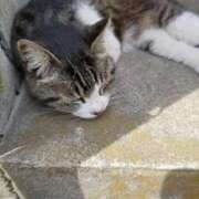 ヒメ日記 2026/04/06 18:09 投稿 祖父江 鶯谷デッドボール