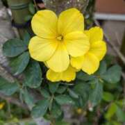 ヒメ日記 2026/04/08 22:39 投稿 祖父江 鶯谷デッドボール