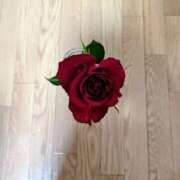 ヒメ日記 2026/04/10 15:59 投稿 祖父江 鶯谷デッドボール