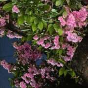 ヒメ日記 2026/04/18 19:19 投稿 祖父江 鶯谷デッドボール