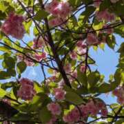 ヒメ日記 2026/04/19 15:51 投稿 祖父江 鶯谷デッドボール