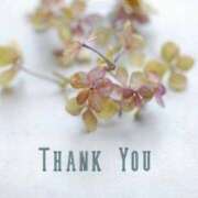 ヒメ日記 2025/12/28 11:54 投稿 ひかるさん いけない奥さん 梅田店