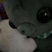 ヒメ日記 2025/11/06 10:39 投稿 ほむ【ドMイマドキろりかわ娘】 STELLA TOKYO－ステラトウキョウ－