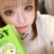 ヒメ日記 2025/11/08 12:15 投稿 ほむ【ドMイマドキろりかわ娘】 STELLA TOKYO－ステラトウキョウ－