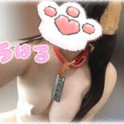 ヒメ日記 2025/09/22 14:25 投稿 ちはる 栃木宇都宮ちゃんこ