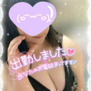 ヒメ日記 2025/10/08 12:07 投稿 ちはる 栃木宇都宮ちゃんこ