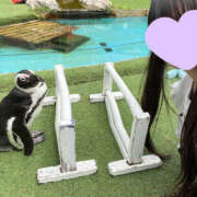 ヒメ日記 2025/10/30 17:55 投稿 ちはる 栃木宇都宮ちゃんこ