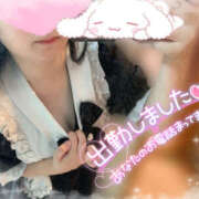 ヒメ日記 2025/11/17 10:25 投稿 ちはる 栃木宇都宮ちゃんこ