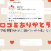 ヒメ日記 2025/12/20 15:55 投稿 ちはる 栃木宇都宮ちゃんこ