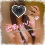 ヒメ日記 2025/12/23 12:05 投稿 ちはる 栃木宇都宮ちゃんこ