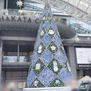 ヒメ日記 2025/10/27 12:25 投稿 ひなた 待ちナビ