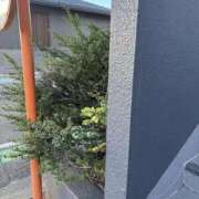 ヒメ日記 2025/10/29 15:05 投稿 ひなた 待ちナビ