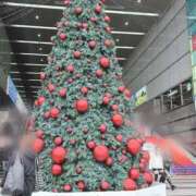 ヒメ日記 2025/11/12 15:05 投稿 ひなた 待ちナビ