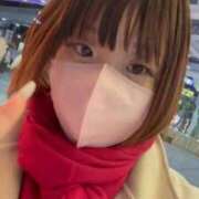 ヒメ日記 2025/11/12 18:31 投稿 ひなた 待ちナビ