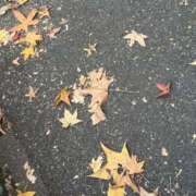 ヒメ日記 2025/12/08 17:45 投稿 ひなた 待ちナビ